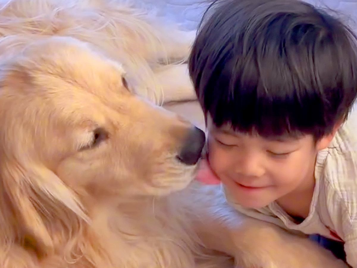 『男の子と大型犬』が一緒に暮らしたら…ずっと見ていたくなる『尊すぎる日常』に「素敵な家族」「幸せホルモンたっぷり」と29万再生の反響