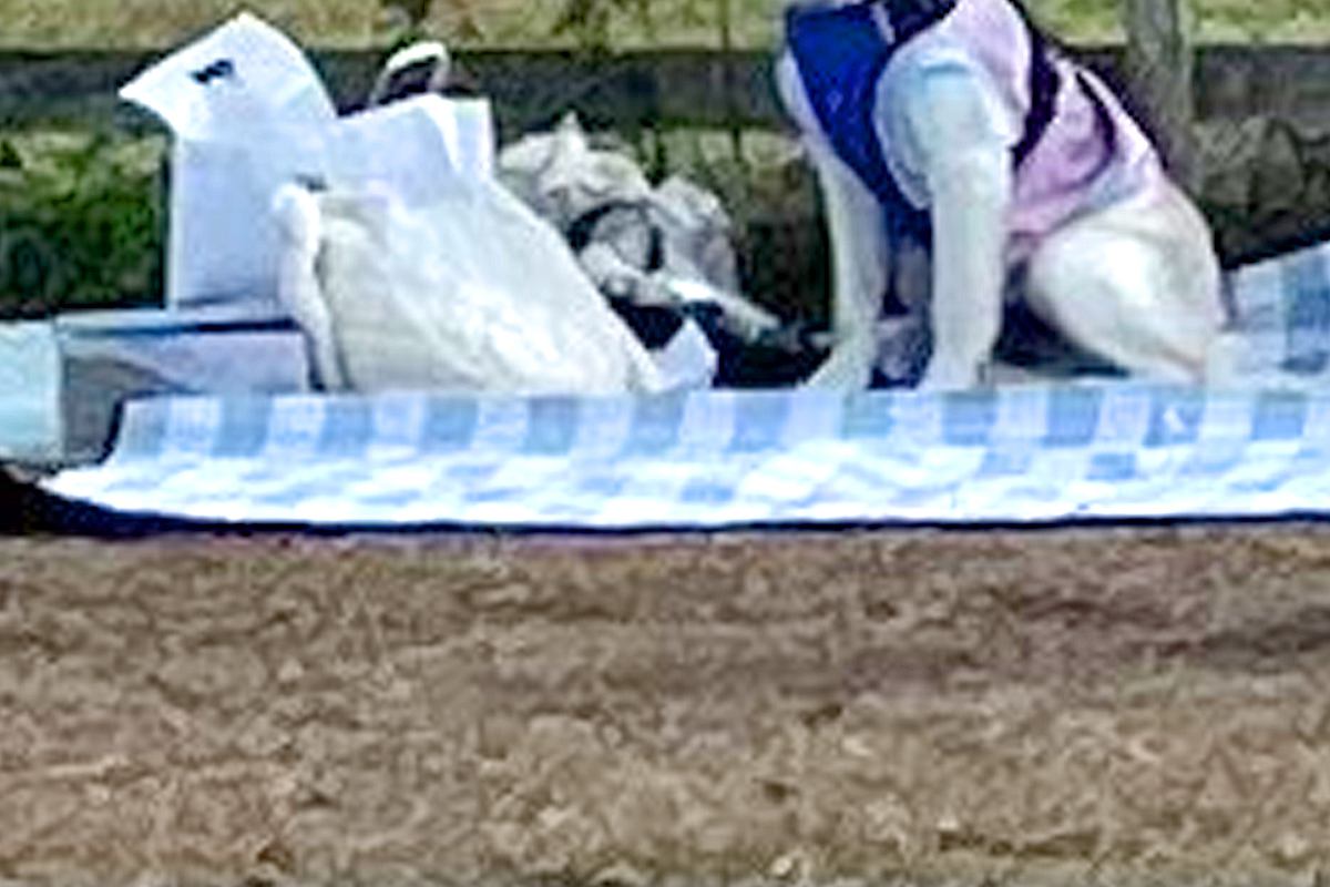 ドッグランに来た大型犬→『大はしゃぎするかな』と思ったら…完全に立場が逆な『まさかの光景』に反響「忠実な番犬ｗｗ」「人間が走るのか…」