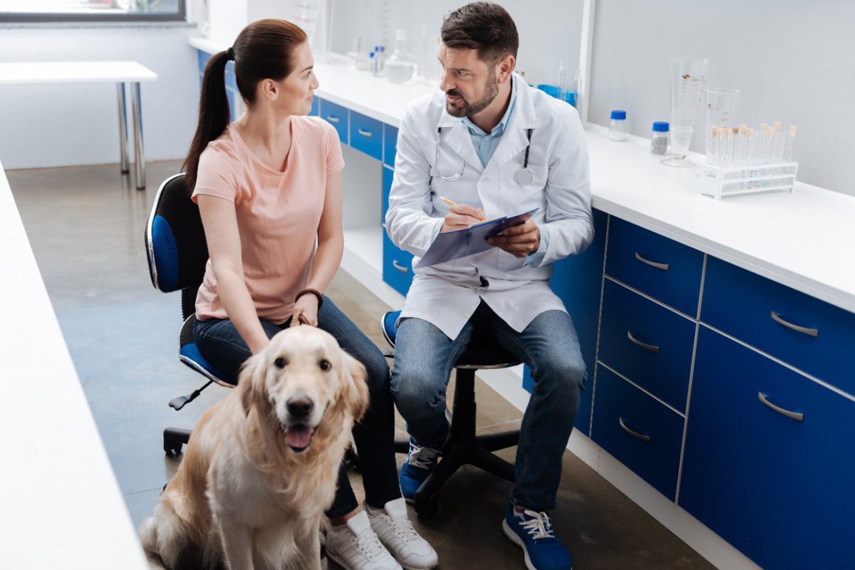 犬の飼い主と獣医療専門家、シニア犬の健康管理についての認識を調査　そこには大きなギャップがあった