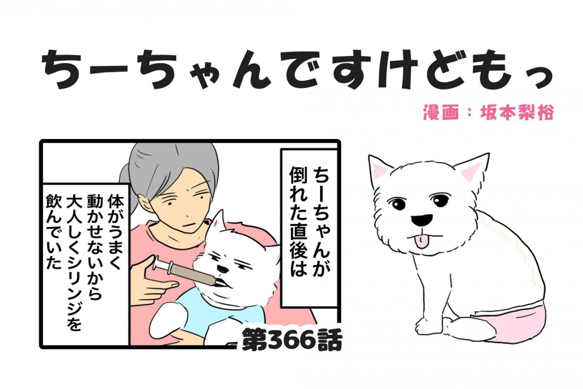 ちーちゃんですけどもっ【第366話】「体調の変化」