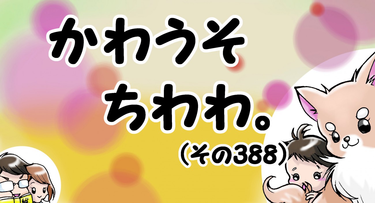 かわうそちわわ。【その388】「トイレハイも一緒だった」