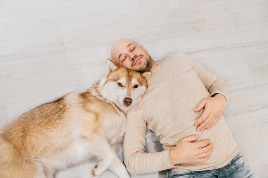 犬があなたに「大好き！」と伝えているサイン4選