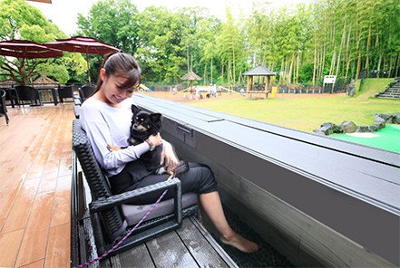 「愛犬の駅」に遊びに行こう！伊豆にあるドライブインをワンコと楽しむ方法 