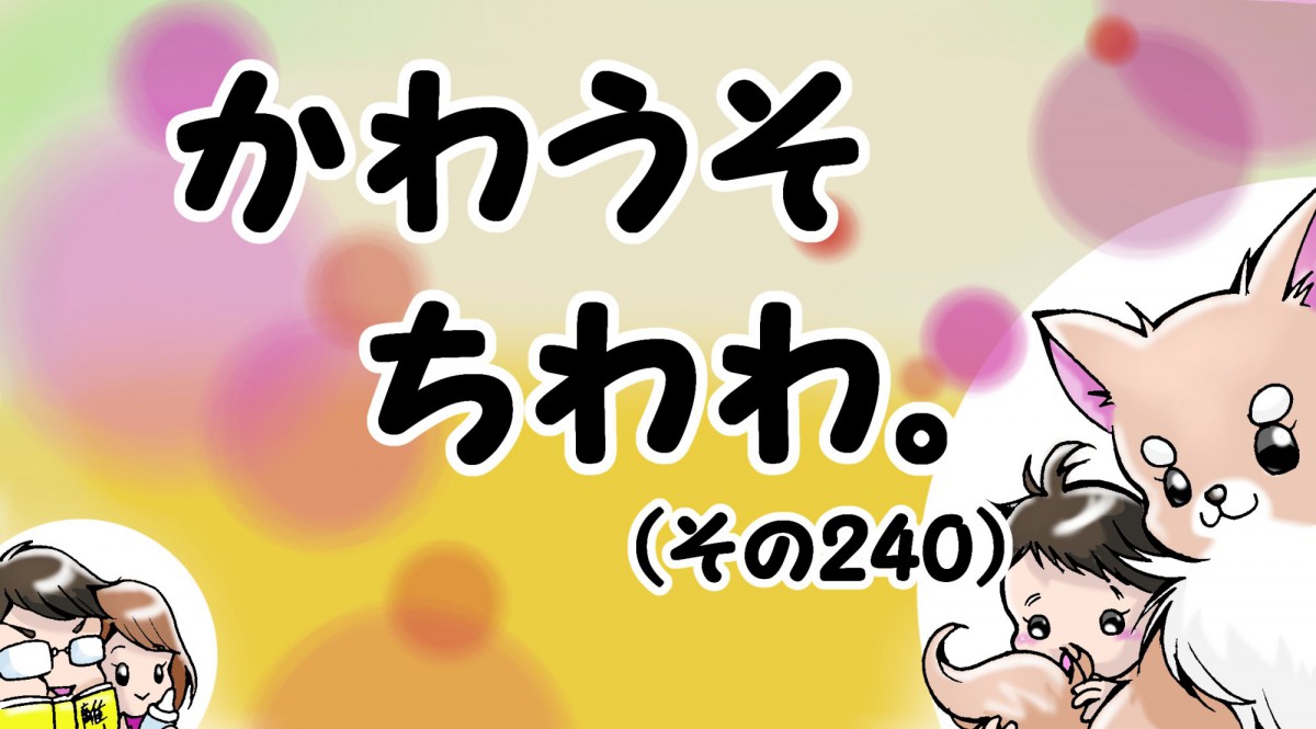 かわうそちわわ。【その240】「連れて上がってごめんなさい」