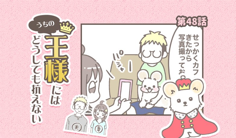 うちの王様にはどうしても抗えない【第48話】「ドッグカフェ②」