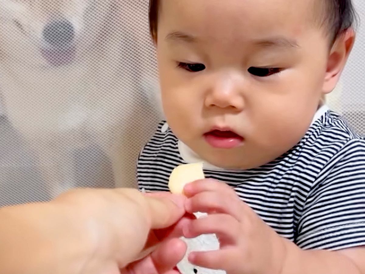 赤ちゃんの手づかみ食べ練習で『ベビーせんべい』を与えていたら、犬が後ろで…とんでもなく食べづらい光景が44万再生「圧ｗｗ」「平和すぎる」