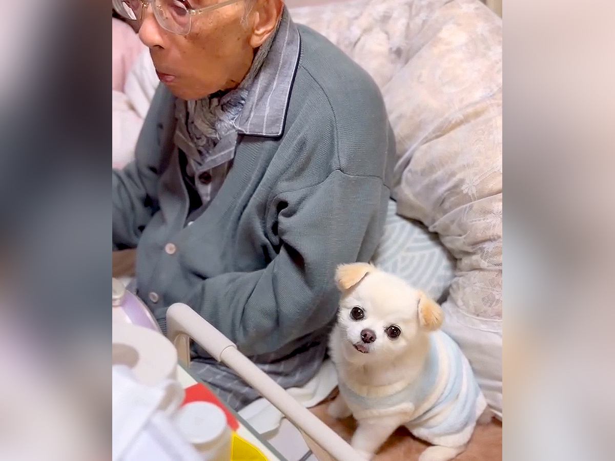 寝てることが多くなった『95歳のおじいちゃん』に、犬が…思わず泣けてくる『尊すぎる光景』が118万再生「素晴らしい」「大好きなんだね」