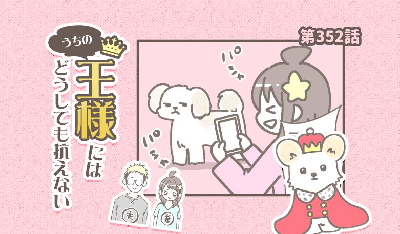 うちの王様にはどうしても抗えない【第352話】「美形すぎる」