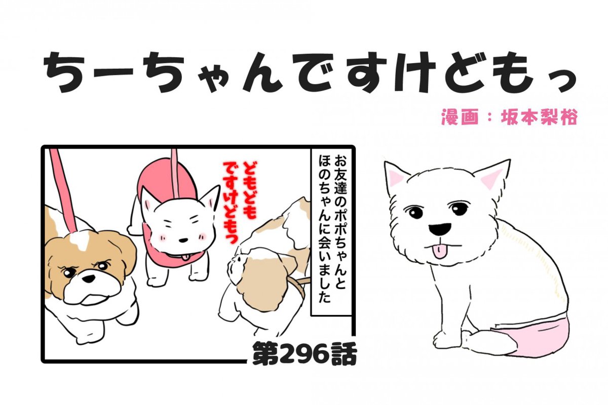 ちーちゃんですけどもっ【第296話】「犬はカメラが別に好きではない」