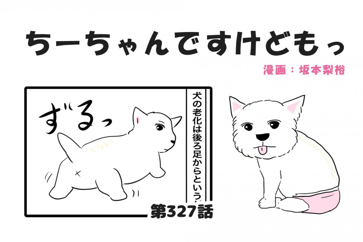 ちーちゃんですけどもっ【第327話】「何でも警戒するちーちゃん」