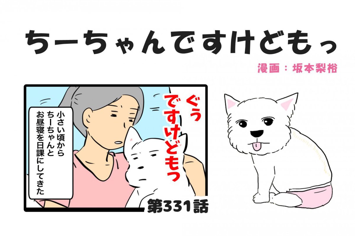 ちーちゃんですけどもっ【第331話】「シニア犬とのお昼寝」