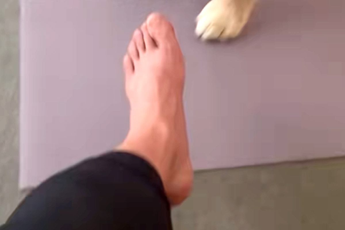 職を失った男性が『ニートになった』と大型犬に報告→『慰めてくれる』と思ったら…『まさかの光景』が37万再生「見下してて草」「目がｗｗ」