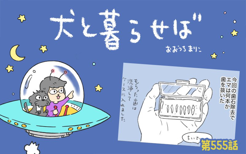 犬と暮らせば【第555話】「エマの抜歯」