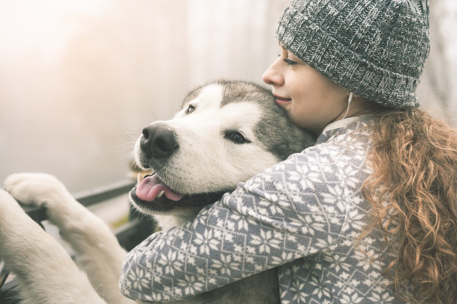 犬を一人で飼うときに知っておきたい６つのこと