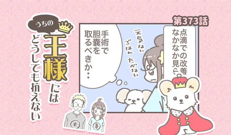 うちの王様にはどうしても抗えない【第373話】「バンビ闘病記⑤」