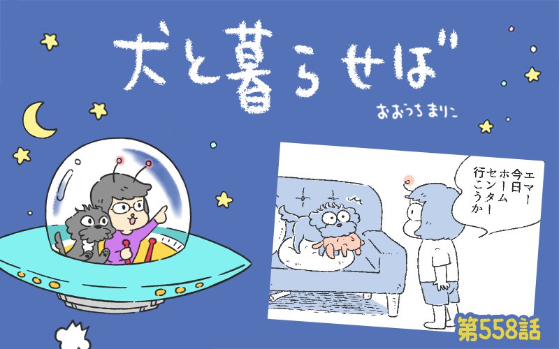犬と暮らせば【第558話】「おでかけしたい②」