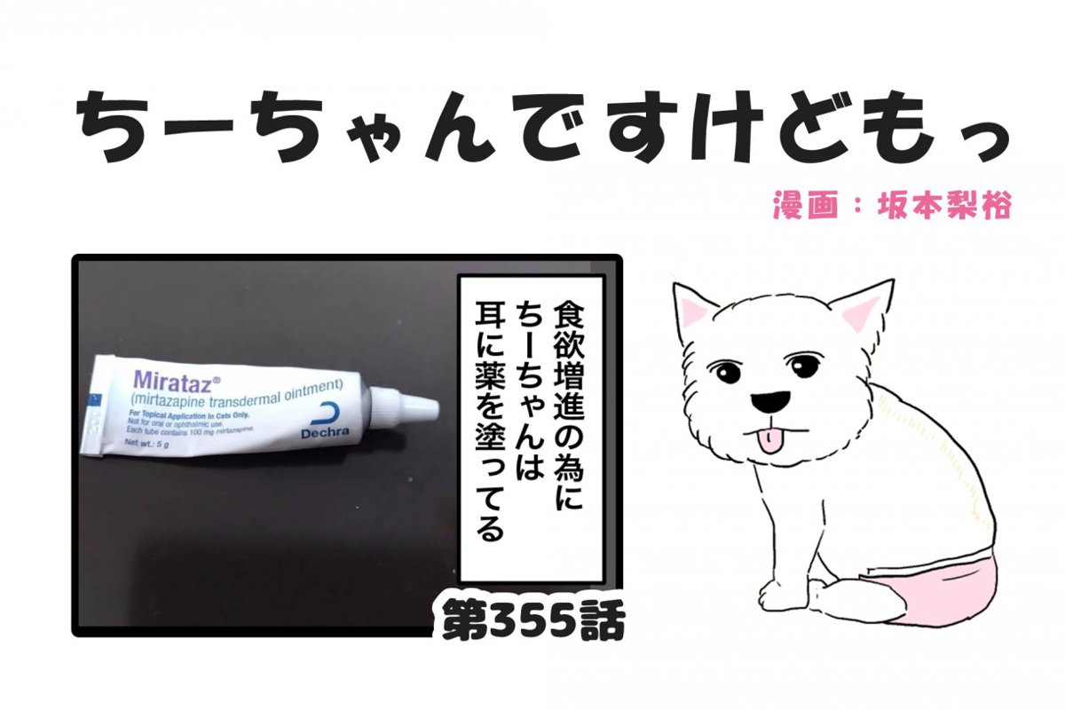ちーちゃんですけどもっ【第355話】「食欲増進剤」