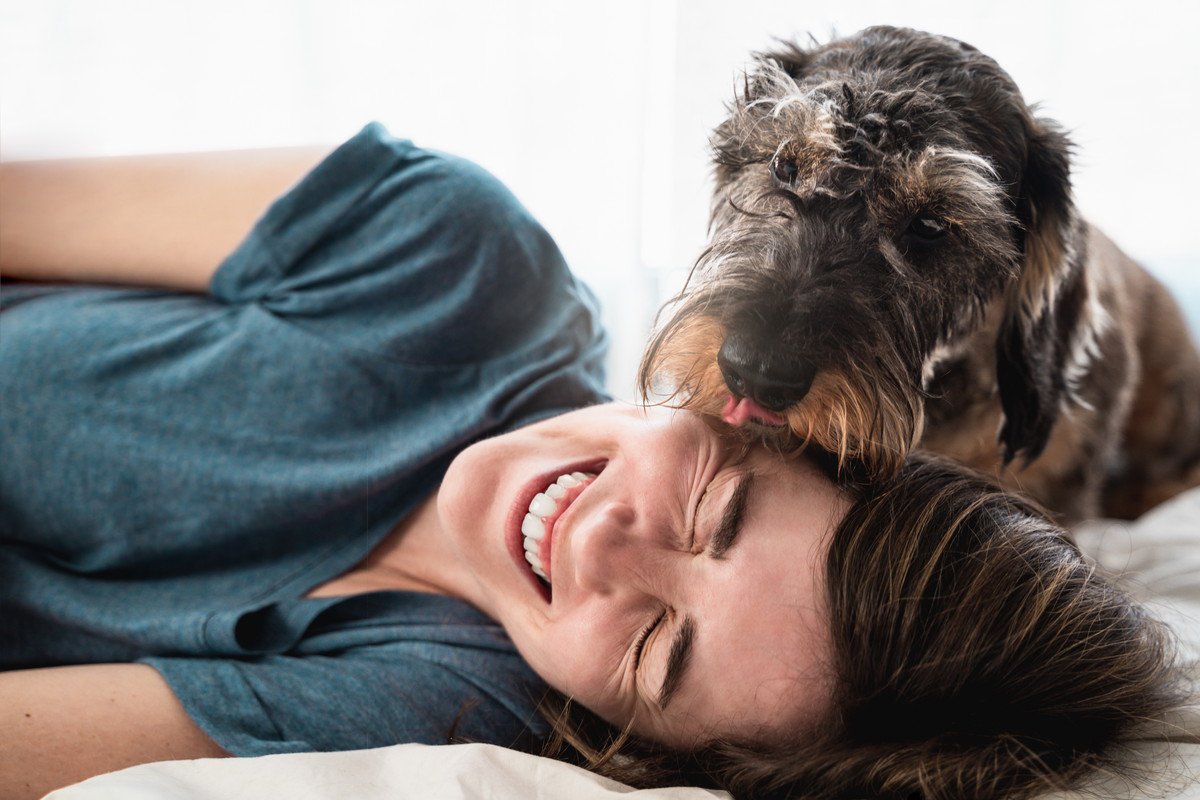 犬が飼い主を『ペロペロ舐める』心理4選　舐めてくる場所やシチュエーションごとの理由まで解説