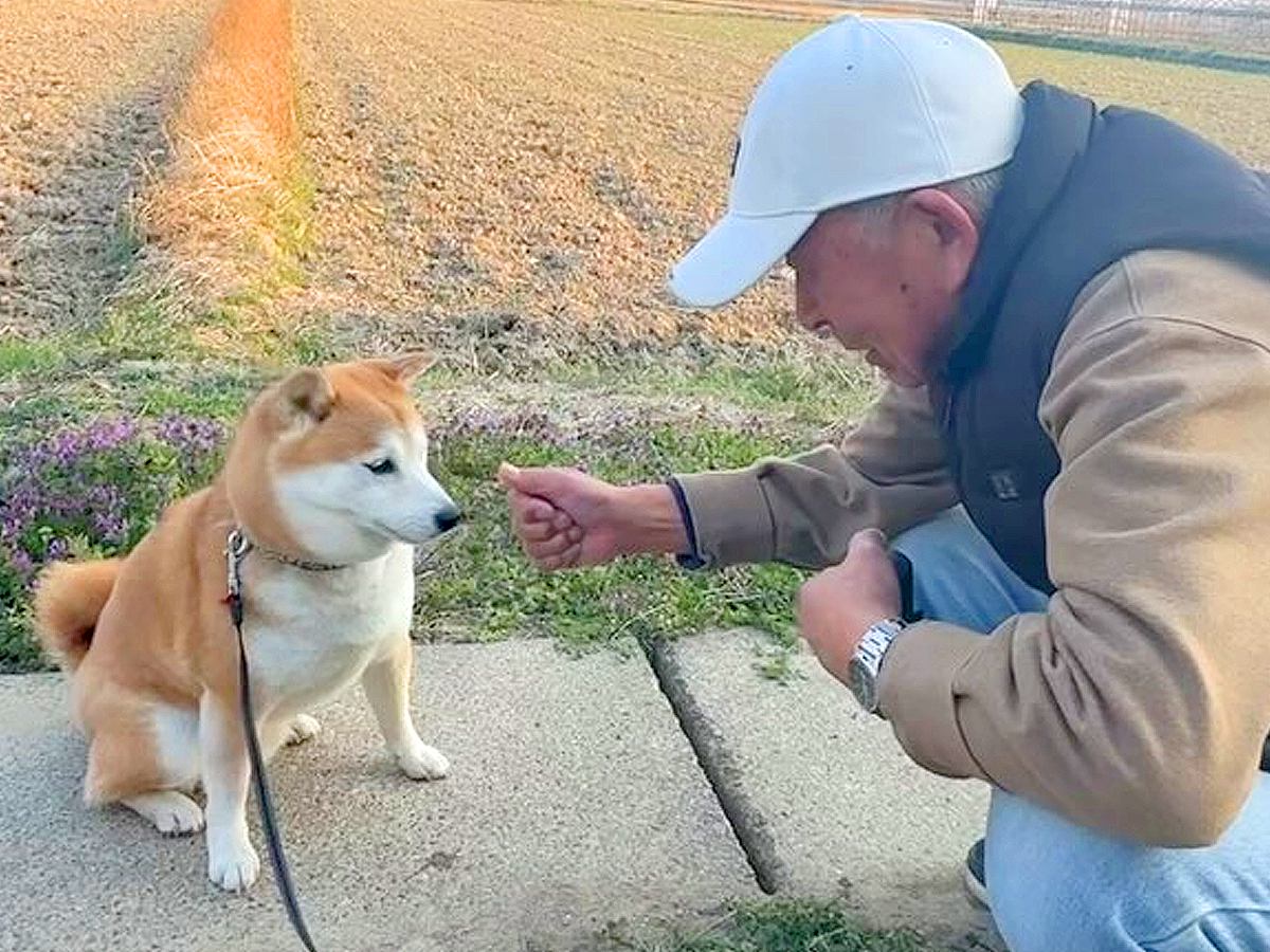 犬におやつを与えるおじいちゃん→ほんの少しよそ見をしたら…『コントでもしてるんか？』想定外の結末が445万再生「爆笑ｗ」「いいコンビ」