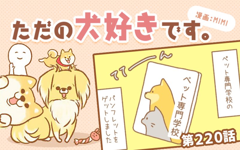 ただの犬好きです。【第220話】「学校パンフレット」