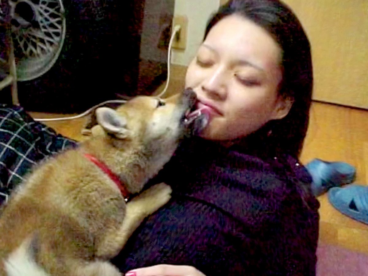 犬が苦手な女性が『彼氏の家で1匹の犬と出会った』結果…涙が止まらない『亡くなるまでの記録』が20万再生「泣いた」「成長を見てたのかな」