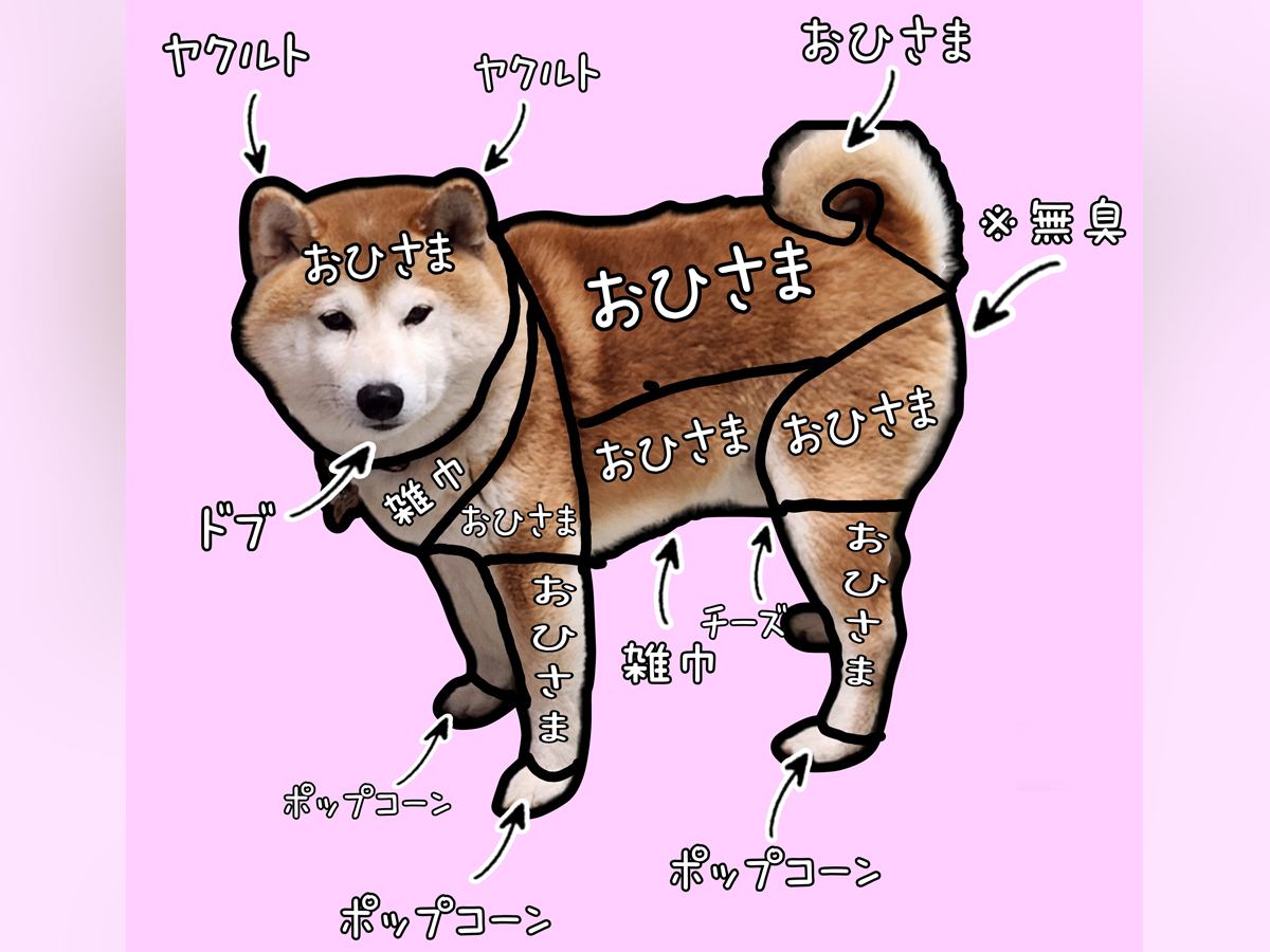 『犬の全身ニオイチェック』してみた結果…まさかの『衝撃的な分布図』に10万いいね集まる「辛辣な場所あって草」「ヤクルト気になるｗ」と爆笑