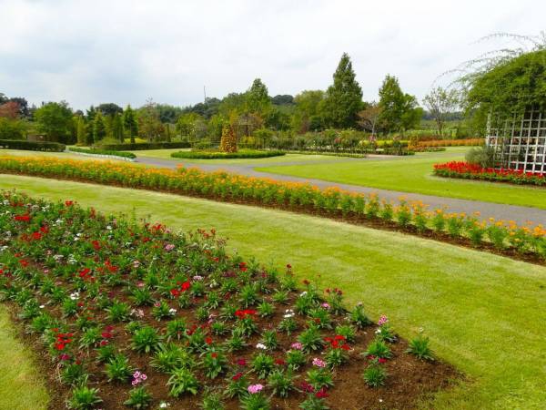 花ファンダジアで愛犬と季節の花を満喫！in清水公園