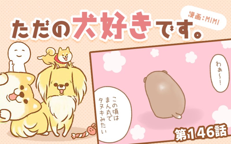 ただの犬好きです。【第146話】「昔の写真」