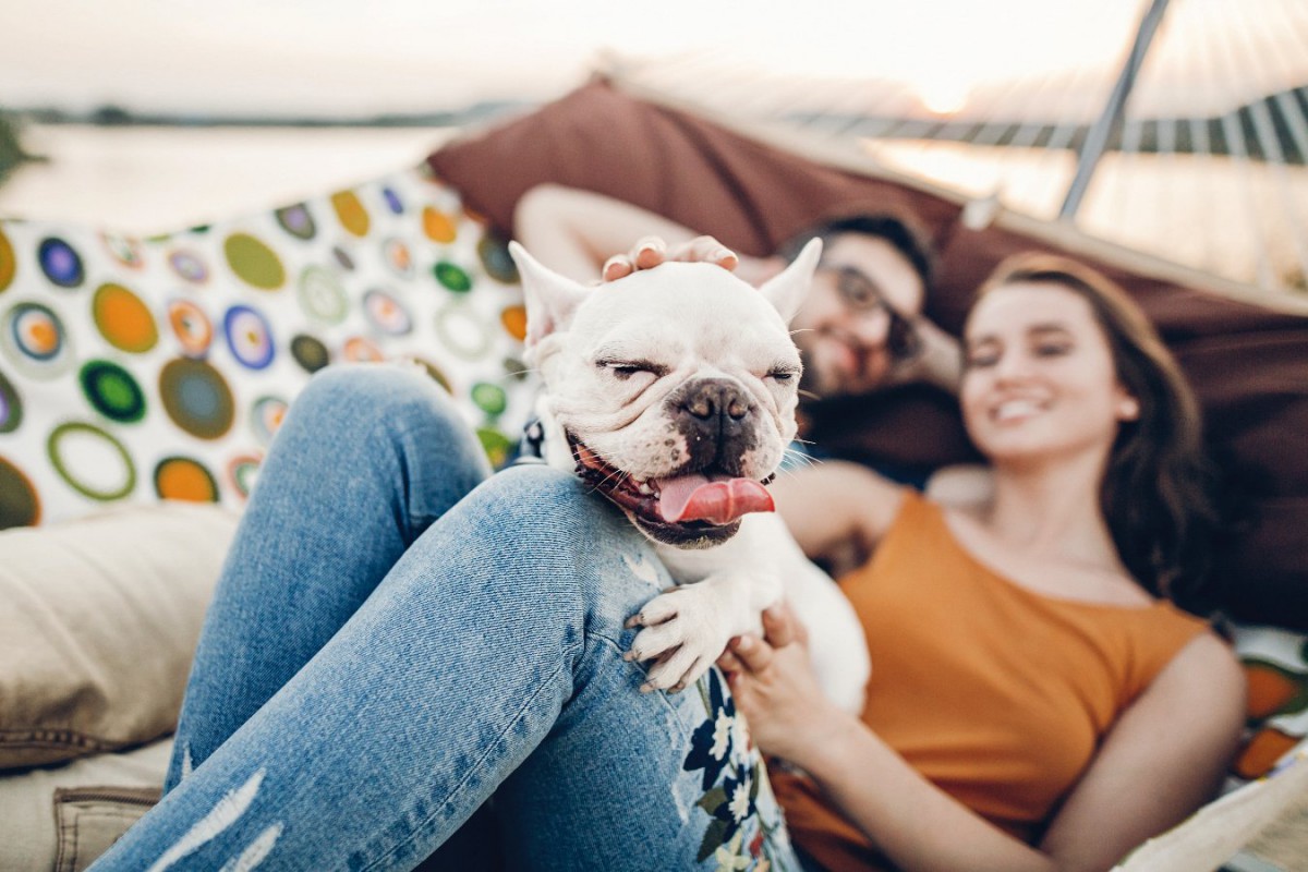 犬は『飼い主の休みの日』を理解してる？