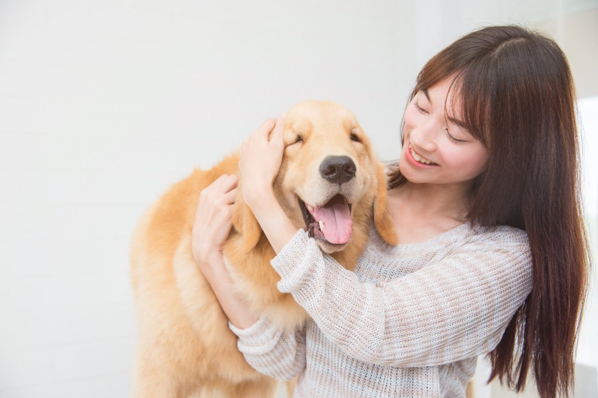 犬はライバルの姿が見えなくてもヤキモチを妬くという研究結果