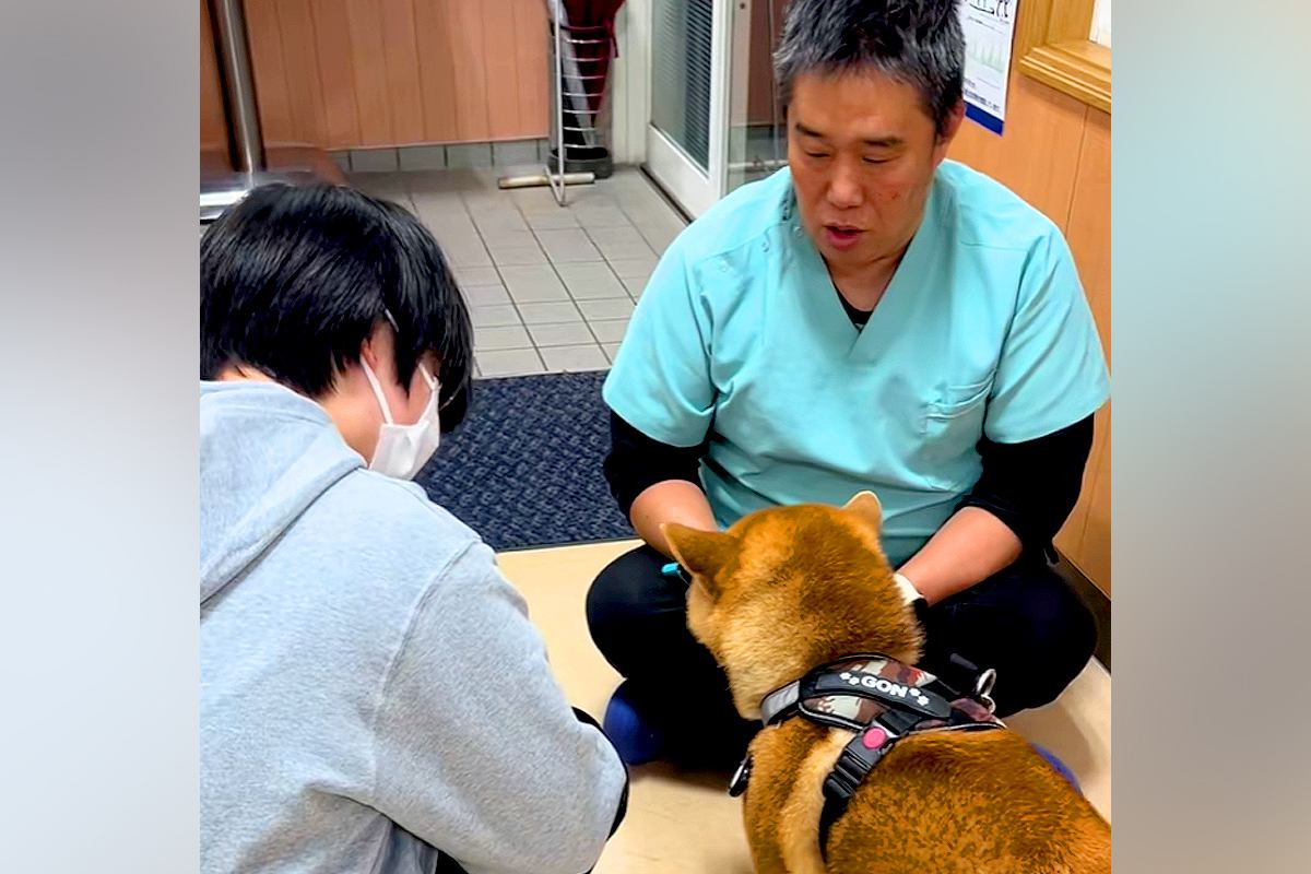 獣医師とケンカしている犬→『お姉さん』が現れた途端に…『まさかの診断結果』が下される瞬間が9万再生「反応の差ｗｗ」「分かりやすい」と爆笑