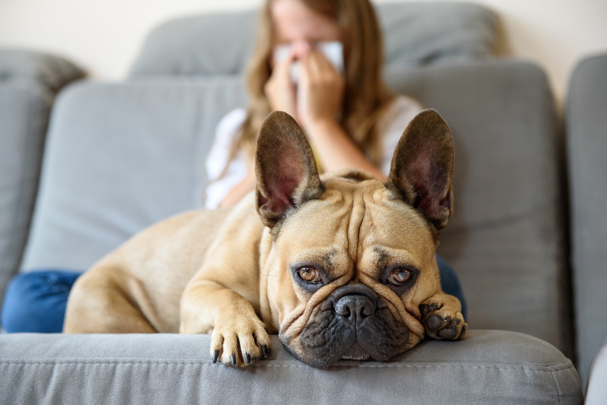 『犬アレルギー』になるとどうなる？よく出る症状やなってしまう原因とは？