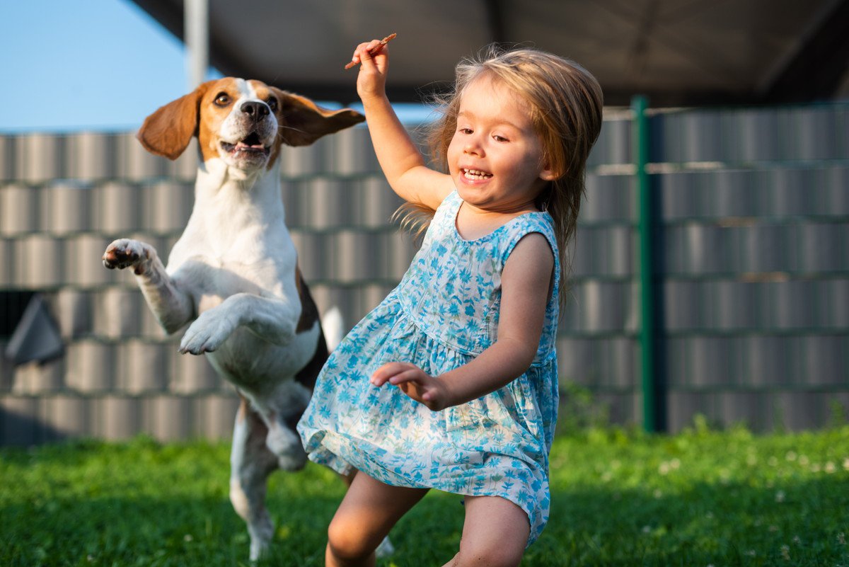 犬が喜ぶ『楽しい遊び方』3つ！やり方から注意点まで解説