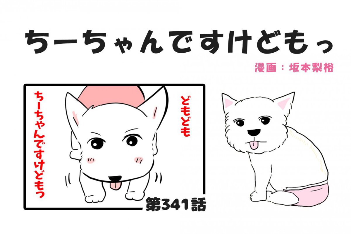 ちーちゃんですけどもっ【第341話】「今年もありがとう」