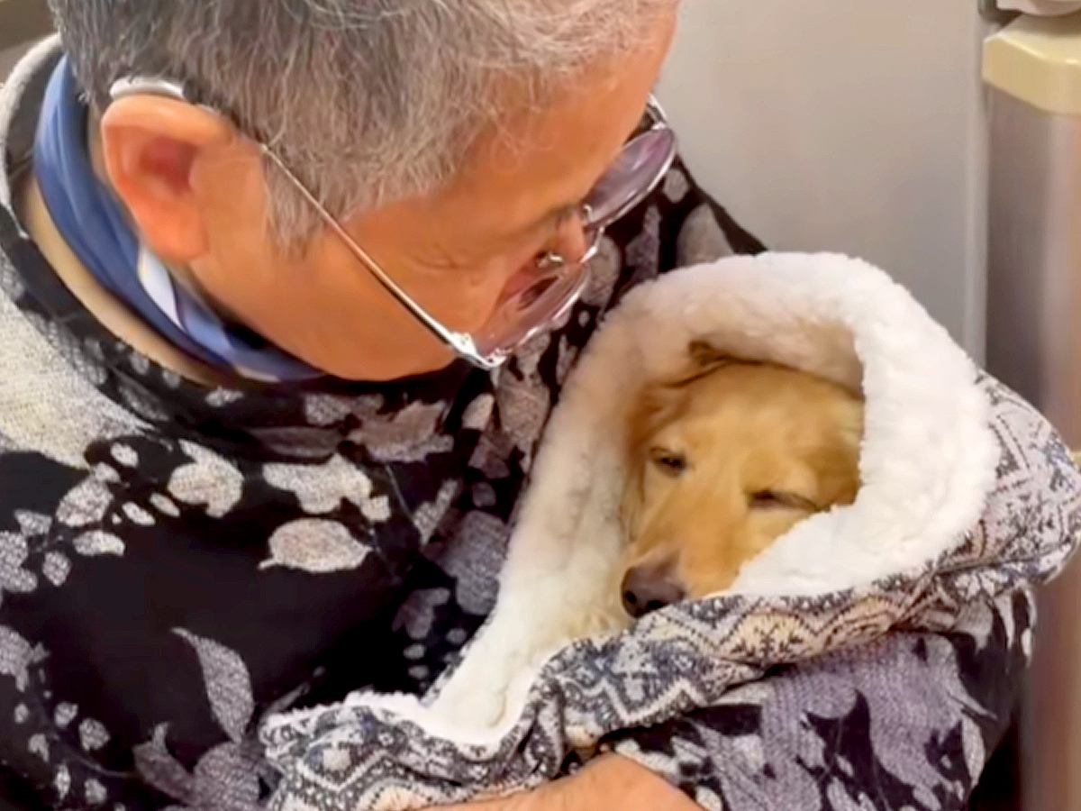 おばあちゃんが犬を抱っこ→寝かしつけをして…あまりにも尊い『赤ちゃんのような光景』が56万再生「ほっこりした」「可愛いの渋滞」と反響