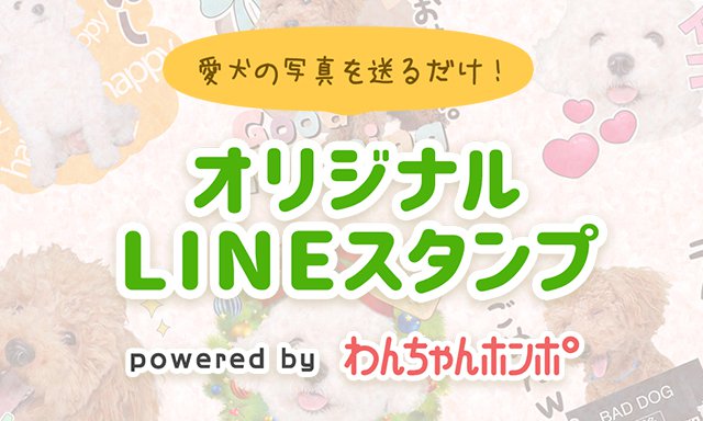 犬 LINEスタンプ ┃写真を送るだけで完成！『わんちゃんホンポ-オリジナルLINEスタンプ』始めました！！