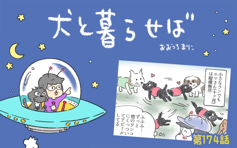 犬と暮らせば【第174話】「孤独のラン」