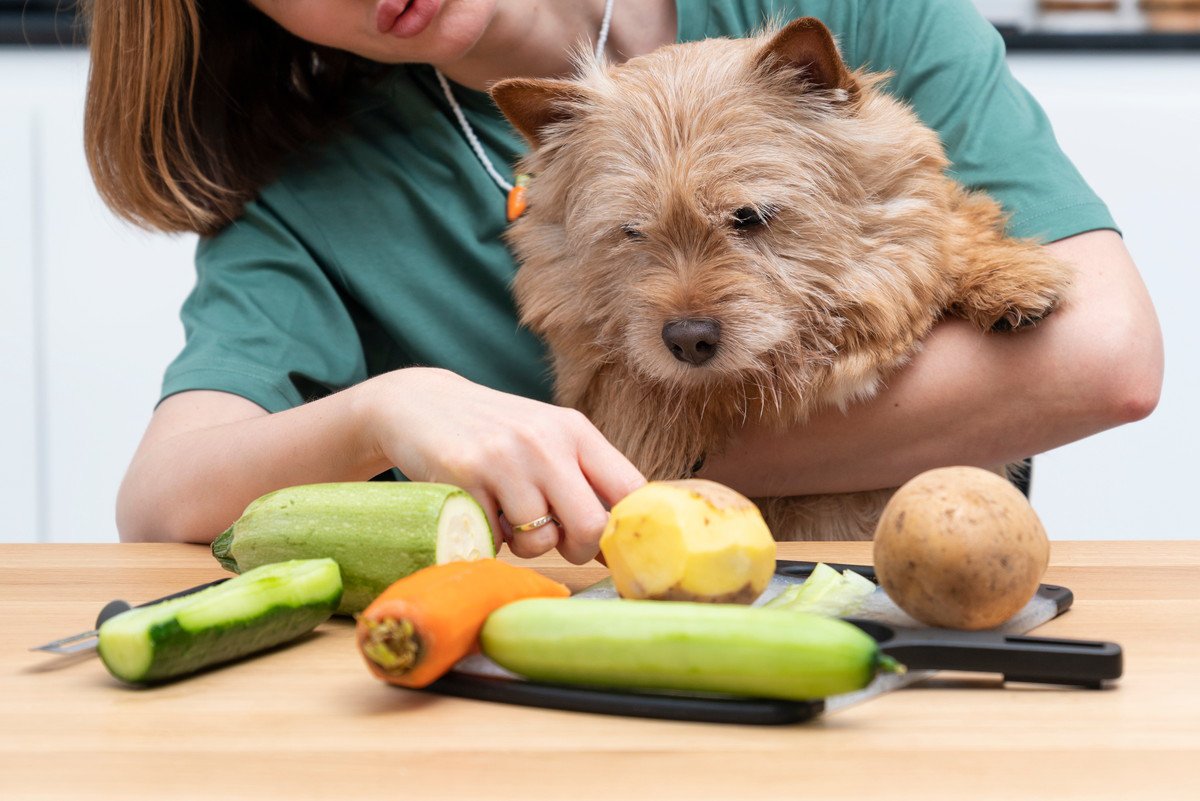 犬に『じゃがいも』絶対NGな与え方4つ　食べさせても問題がない量や注意点