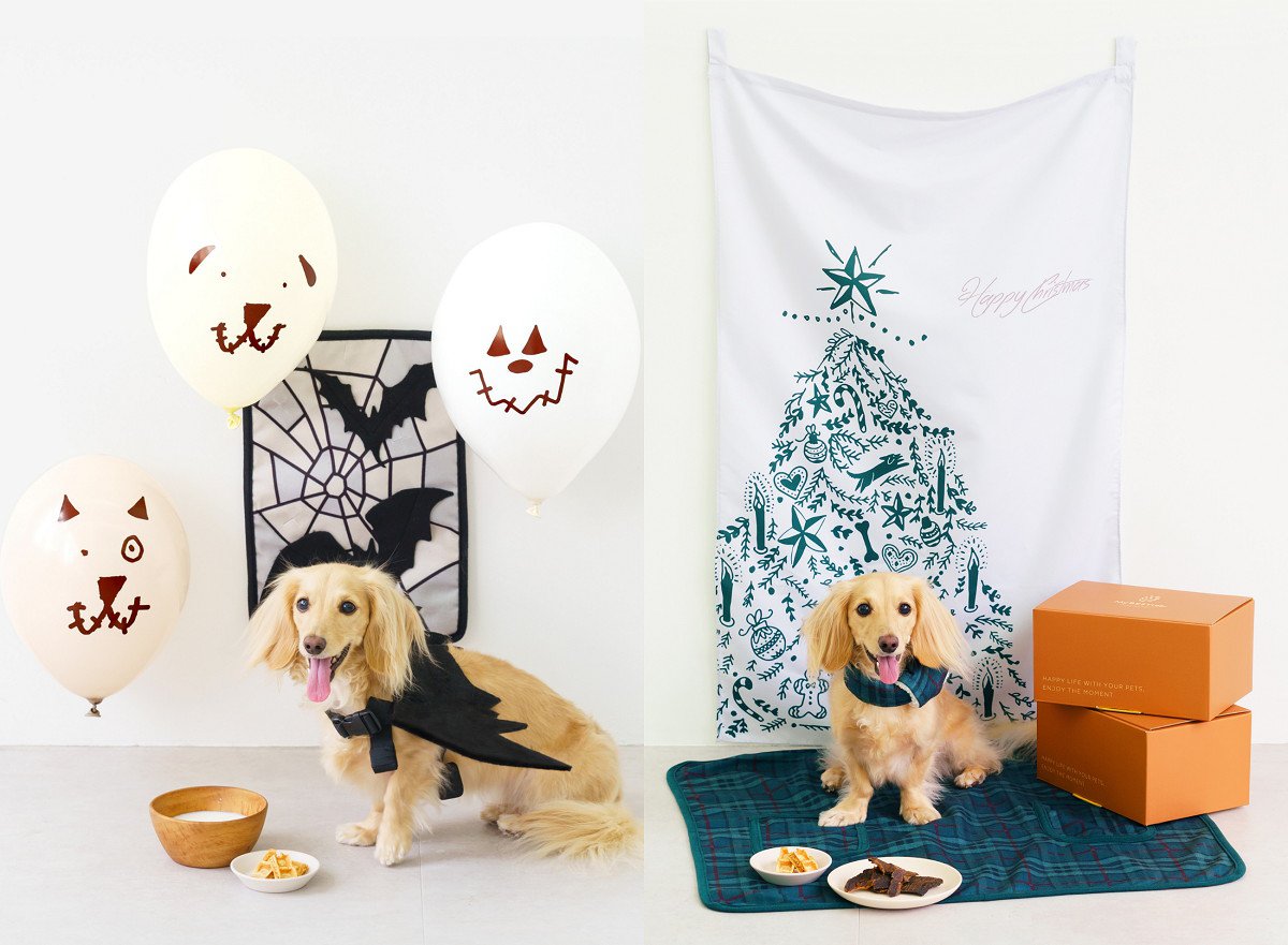 MyBESTieeより「ハロウィンBOX」「クリスマスBOX」が500個限定で新発売