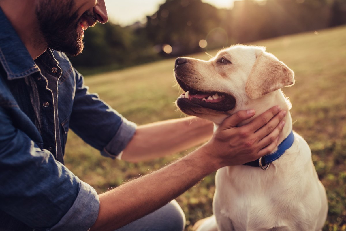 犬が『飼い主を守っている』時に見せる行動4選