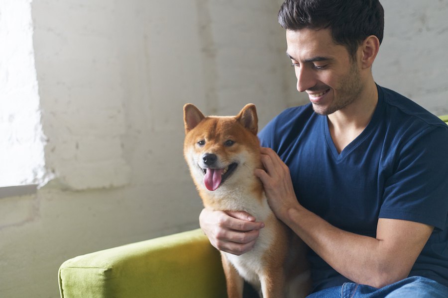 今どんな気持ち？犬の心理は「口」からも分かる！