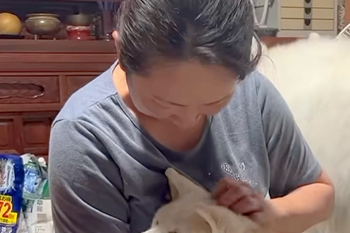 夜、17歳の老犬が不安そうに鳴くので『お母さんが抱っこした』結果→表情が変わり…愛おしくてたまらない『寝かしつけ』に反響「幸せ溢れてる」
