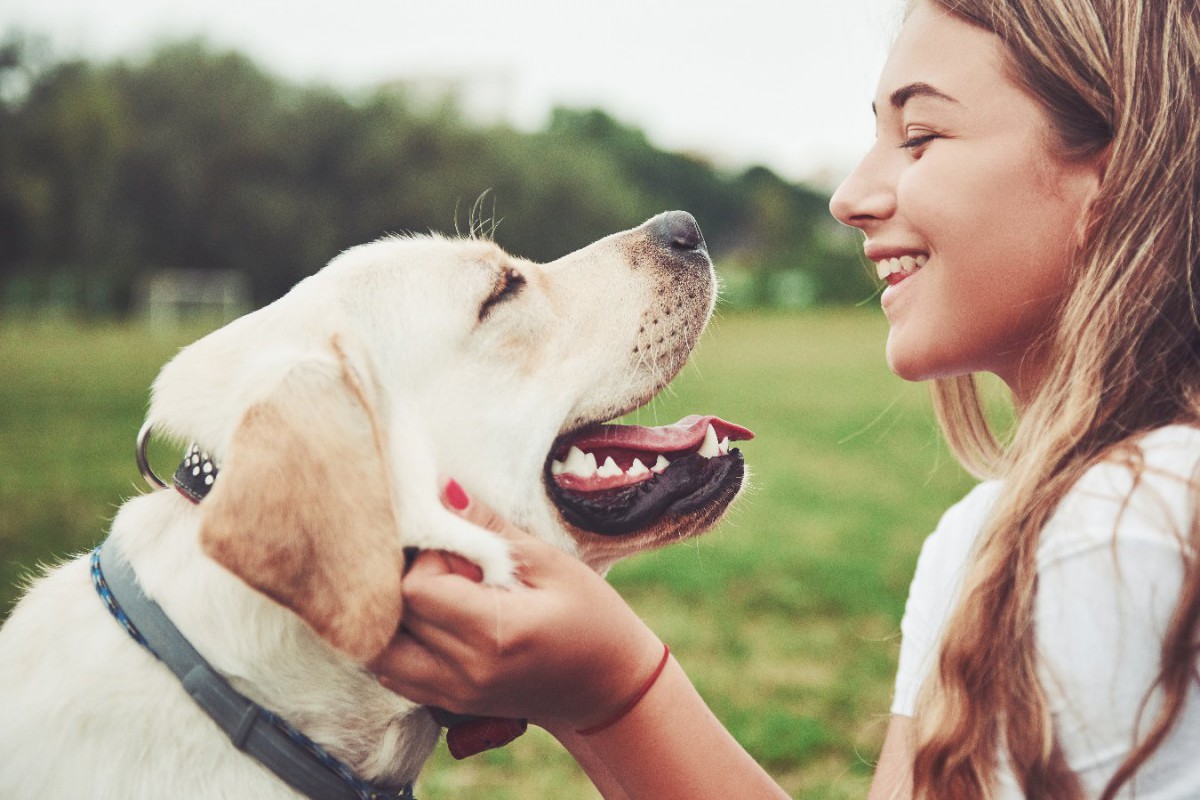 犬が『幸せ』を感じている時の仕草４選
