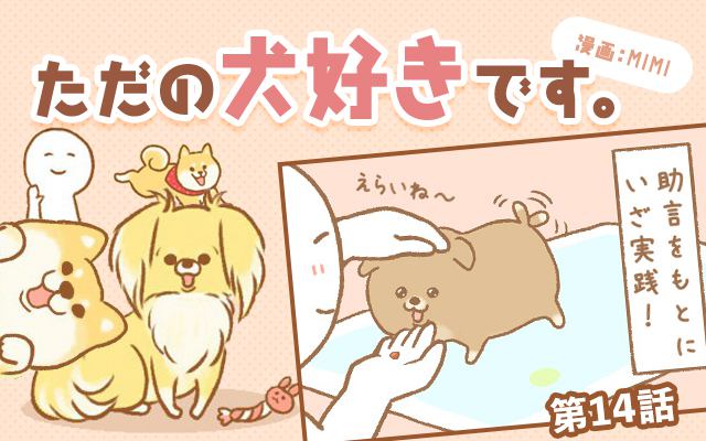 ただの犬好きです。【第14話】「おトイレ訓練」