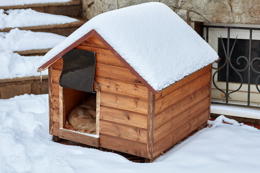 犬の小屋に効果的な防寒対策は？便利な防寒アイテムや注意点まで