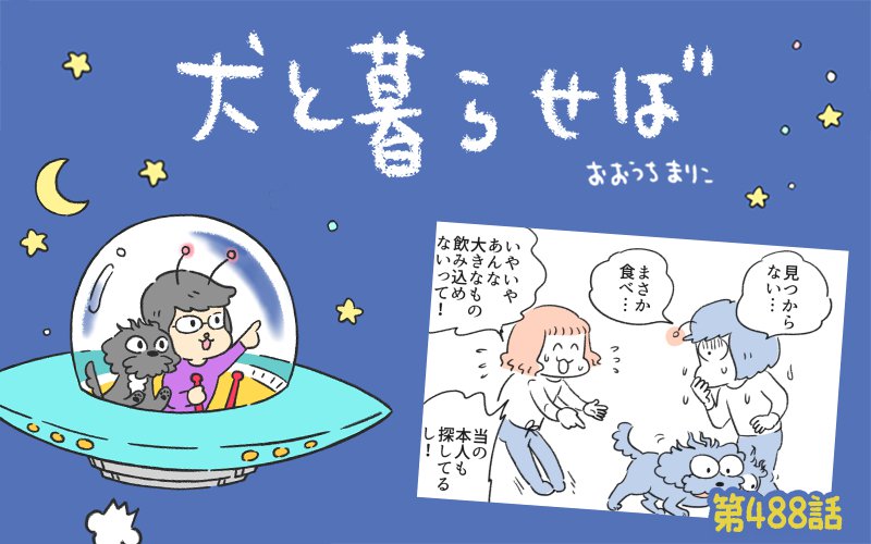 犬と暮らせば【第488話】「消えたネギ③」