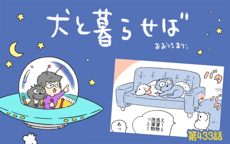 犬と暮らせば【第433話】「犬トラップ」