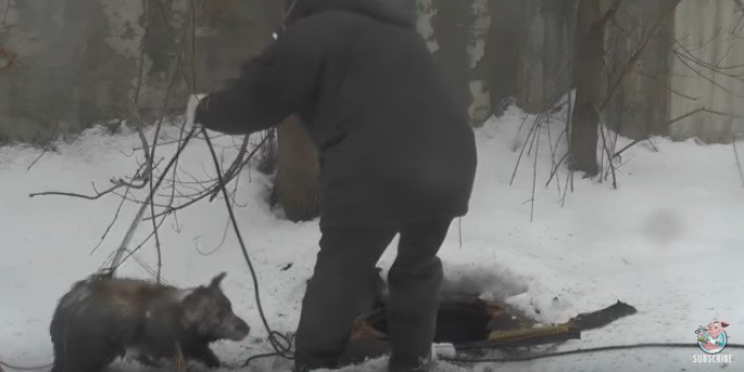 ロープを巧みにあやつる男性。穴に落ちた犬を一本釣りで救出！