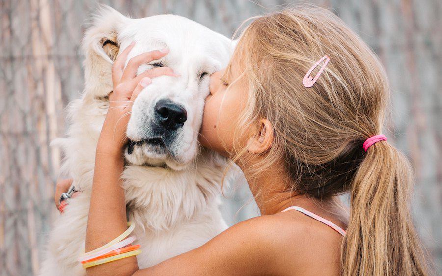 犬を飼うのに向いている人の特徴４つ