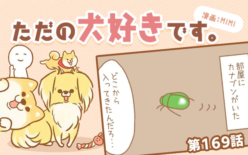 ただの犬好きです。【第169話】「カナブン」